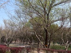 -东升八家郊野公园