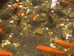 -邈墨茶馆(凤起路店)