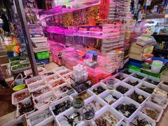 -朝来春花卉市场