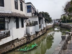 -江滩湿地公园