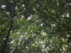 -重庆市江北嘴中央商务区中央公园