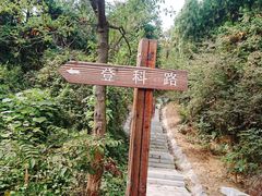 -天花井景区