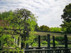 -大关公园