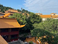 -深圳仙湖植物园