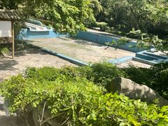 -金孔雀温泉旅游度假村