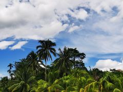 -兴隆槟榔园休闲农庄