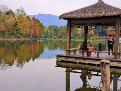 -新概念来凤鱼(璧山店)