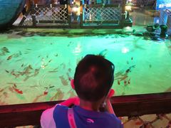 -华夏文旅海洋公园