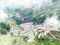 -紫鹊界梯田景区