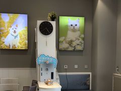 -关爱宠物医院·猫科中心·消化科(滨湖万达分院)