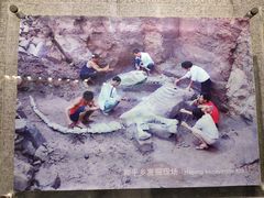 -自贡恐龙博物馆