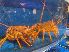-香宫中餐厅·大连香格里拉(人民路店)