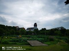 -美兰湖景区