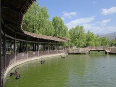 -新疆天山野生动物园