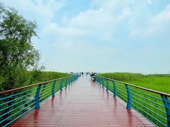 -上海吴淞炮台湾国家湿地公园