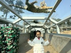 -西霞口神雕山野生动物世界