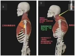 -思怡瑜伽·普拉提·减脂塑形