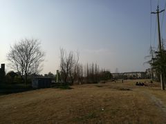 -两河城市森林公园