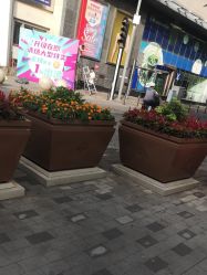 -东风婚纱摄影(恒和西里1号楼店)