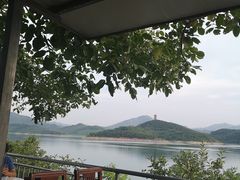 -望湖烤鱼