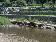 -北仑森林植物园