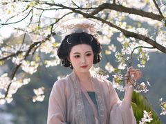 -南山植物园