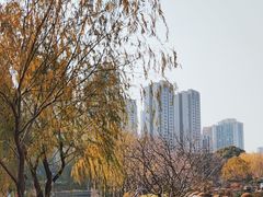 -和平公园