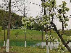 -南北湖风景区