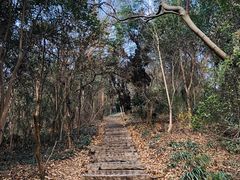 -采石矶景区