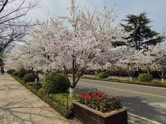 -青岛海尔洲际酒店