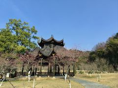 -常德桃花源景区