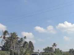 -东郊椰林