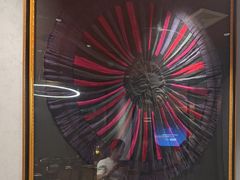 -滇野云南野生菌餐厅(陕西南路店)