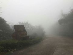 -九龙江国家森林公园