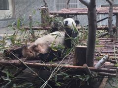 -西安秦岭野生动物园