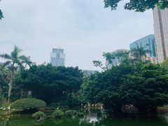 -九龙公园