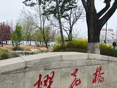 -长白岛森林公园