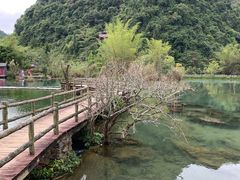 -靖西鹅泉风景区