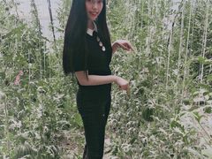 -庞各庄西瓜蔬菜采摘园·锦华瓜园