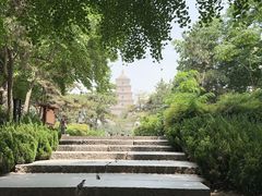 -大慈恩寺(大雁塔)