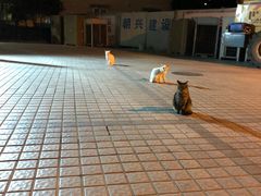 -上海市长宁区天山中医医院