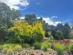 -墨尔本皇家植物园