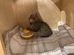 -么么咖啡(燕郊店)