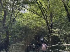 -紫金山山顶公园