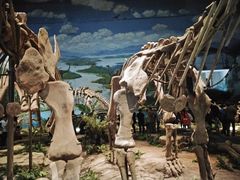 -自贡恐龙博物馆