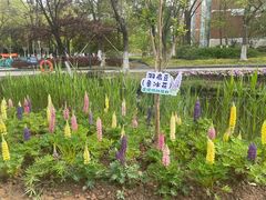 -杭州电子科技大学(下沙校区)