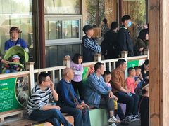 -北京鹿世界主题园