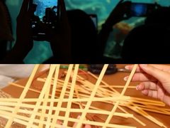 -长鹿旅游休博园