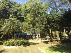 -西樵山风景名胜区-天湖公园