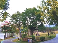 -光明港公园